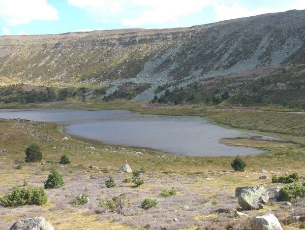images/009-novedades/lagunas-de-neila/lagunas-2-neila.jpg#joomlaImage://local-images/009-novedades/lagunas-de-neila/lagunas-2-neila.jpg?width=1056&height=797